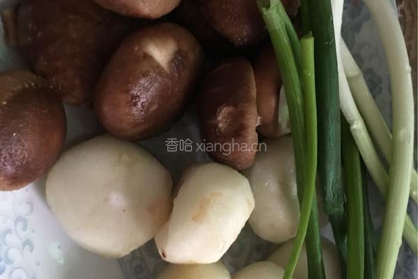 家常红烧狮子头的做法图解2