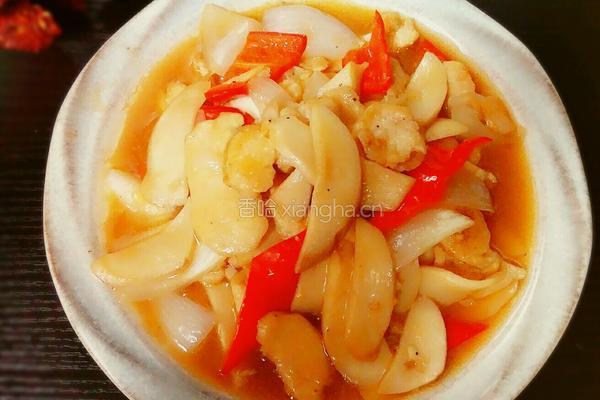 黑椒鸡片杏鲍菇的做法图解12