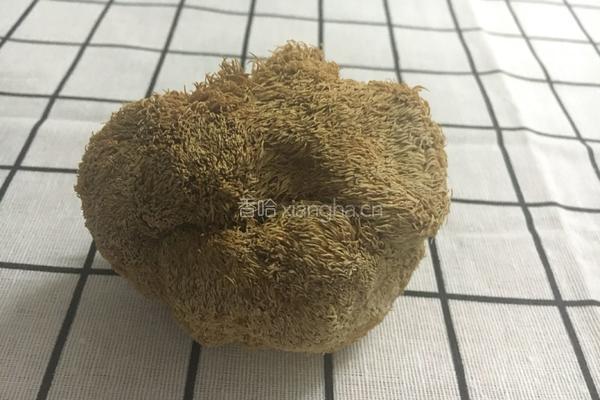 猴头菇山药养胃粥的做法图解1
