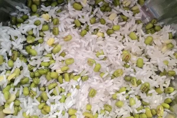 绿豆红枣粥的做法图解1