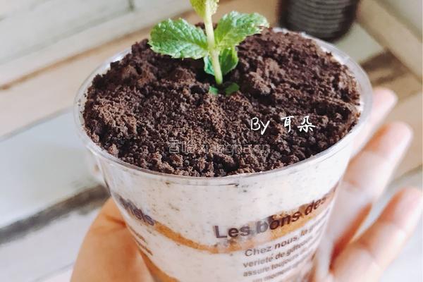 Oreo奥利奥酸奶冻芝士蛋糕的做法图解25