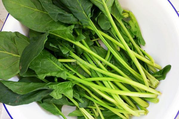 麻酱菠菜墩的做法图解7