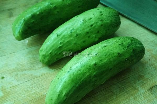老屋私房菜 拍黄瓜的做法图解1