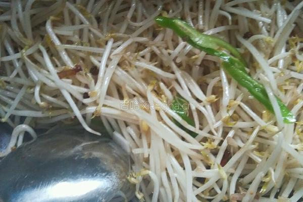 酸辣绿豆芽的做法图解4