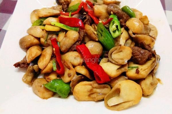 草菇牛肉的做法图解8