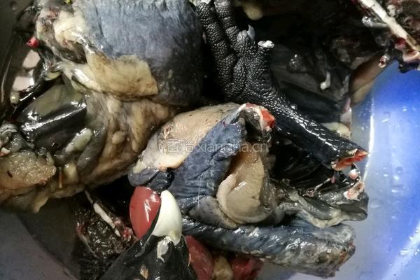 滋补乌鸡汤的做法图解2