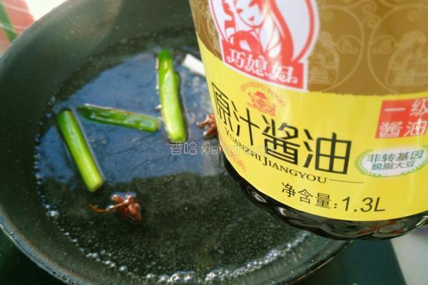 红烧素鸡的做法图解7