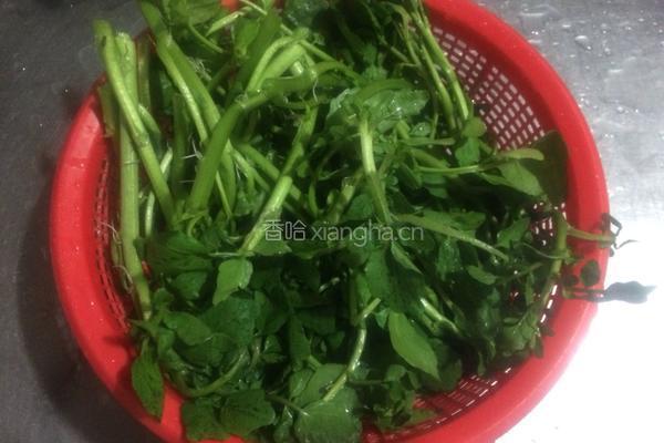 番茄西洋菜瘦肉汤的做法图解3