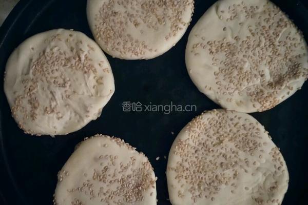 油酥芝麻烧饼的做法图解4