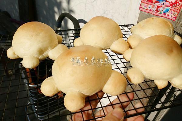 小乌龟面包的做法图解13
