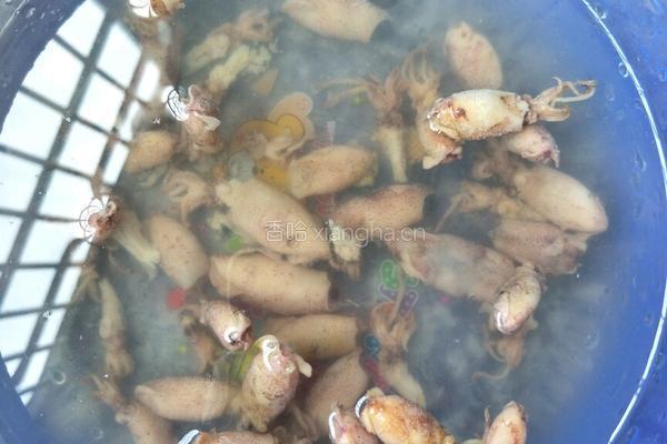 小乌贼干炒青椒的做法图解1