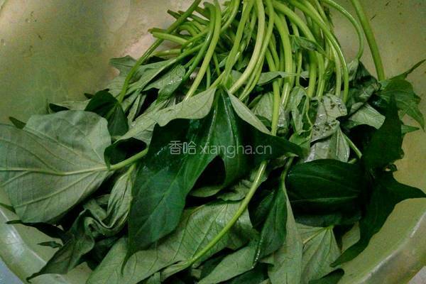蒜蓉红薯叶的做法图解1