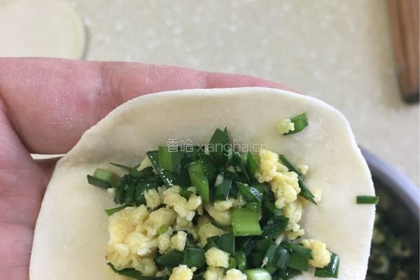 韭菜鸡蛋饺子的做法图解8