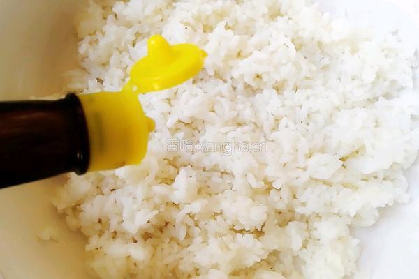 海苔肉松饭团的做法图解1