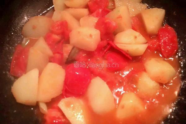 西红柿土豆炖牛肉的做法图解18