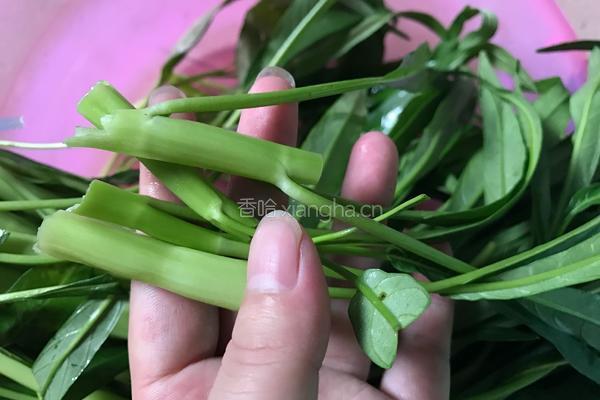蒜香空心菜的做法图解1