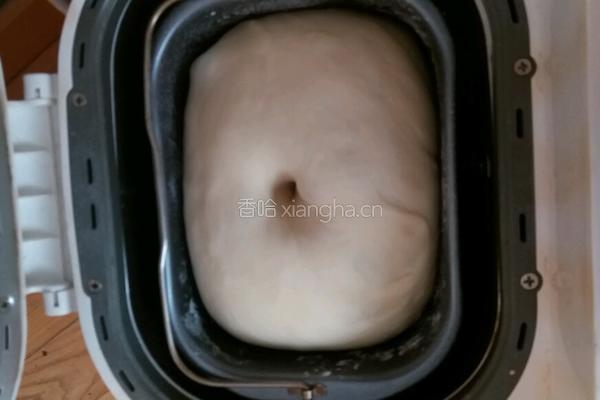 椰蓉面包的做法图解4