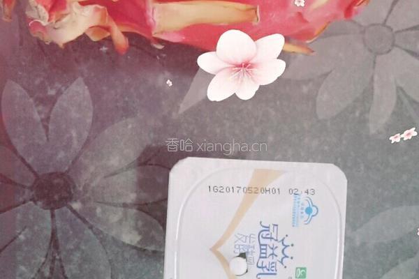 火龙果酸奶杯的做法图解1