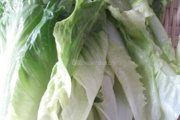 蔬菜沙拉的做法图解1