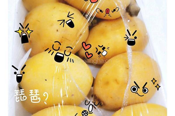 冷饮枇杷露的做法图解2