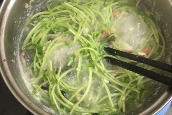 上汤豆苗的做法图解11