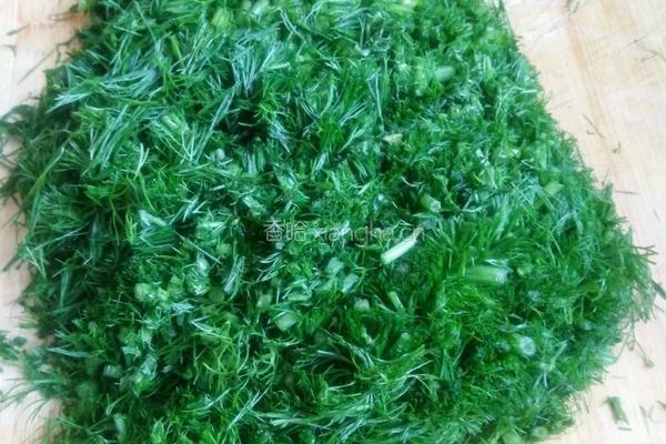 茴香馅饺子的做法图解1