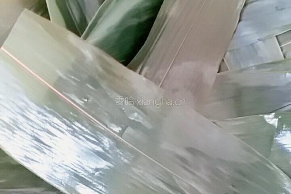 简单板栗蜜枣糯米粽子小点心的做法图解3