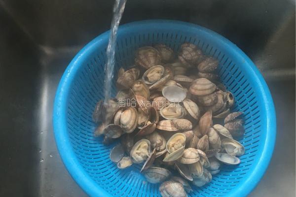 清蒸蛤蜊的做法图解3