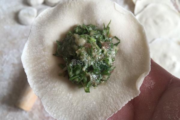 猪肉茴香馅儿饺子的做法图解14
