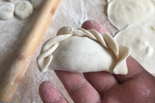 猪肉茴香馅儿饺子的做法图解16