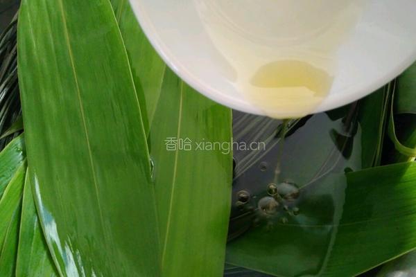 西米冰晶粽的做法图解11