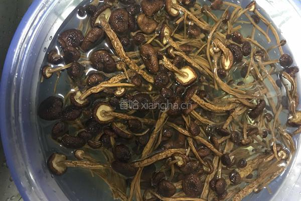 茶树菇五花肉的做法图解1