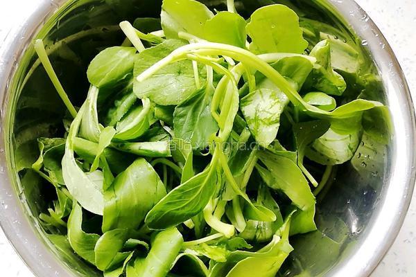 香菇青菜肉末馄饨馅的做法图解2