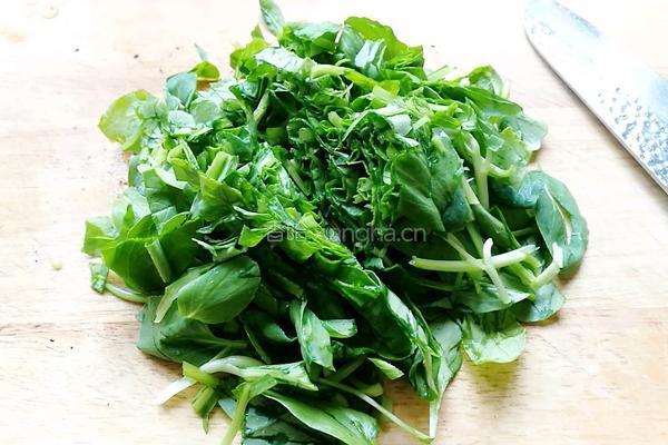 香菇青菜肉末馄饨馅的做法图解5