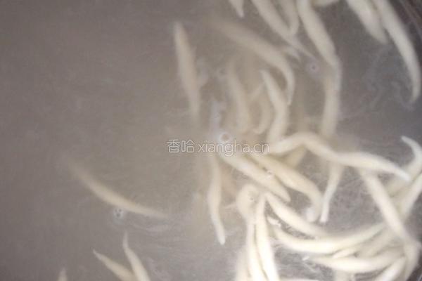 茄汁三丁面鱼的做法图解21