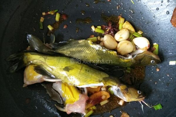 戈雅鱼炖豆腐的做法图解6