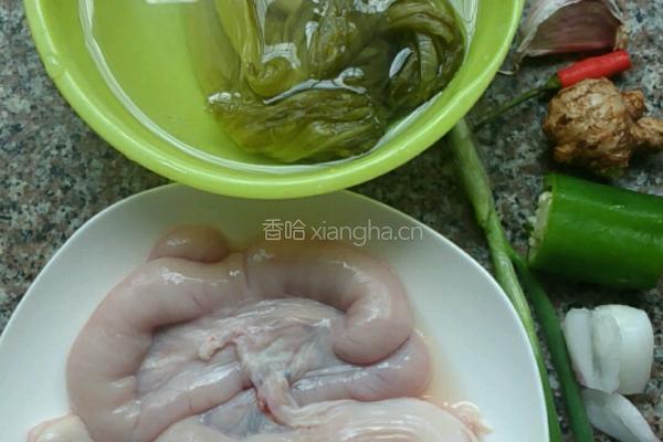 酸菜炒生肠的做法图解1