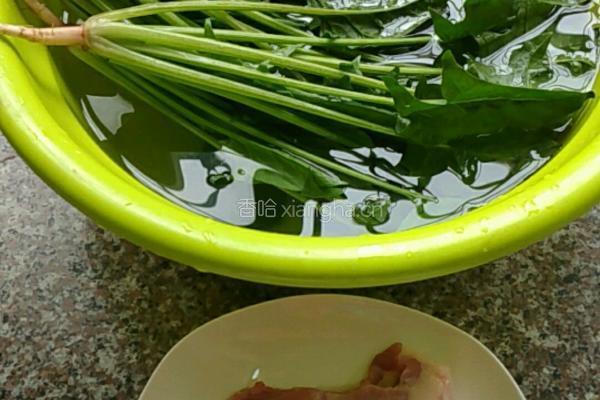五花肉猪肝炒菠菜的做法图解1