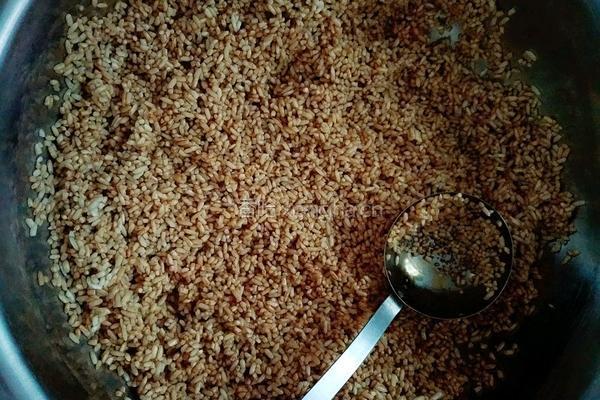 杂豆咸黄肉粽的做法图解5