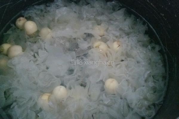 木瓜银耳莲子汤的做法图解3