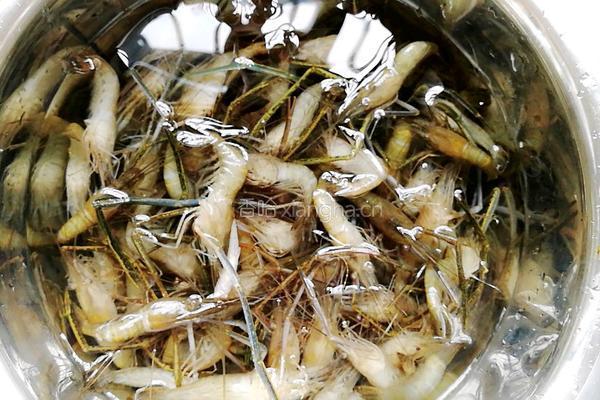 盐水河虾的做法图解1