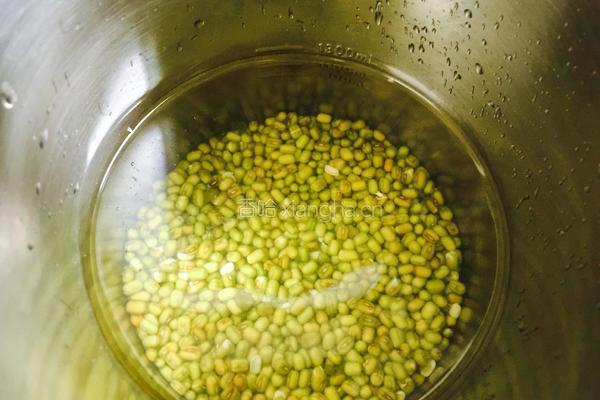 绿豆冰棍的做法图解3
