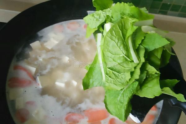 青菜豆腐菌汤的做法图解6