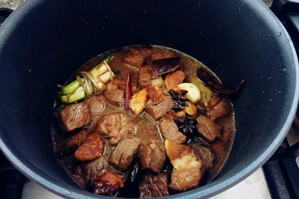 红烧牛肉的做法图解10