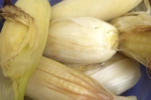 煲玉米的做法图解5