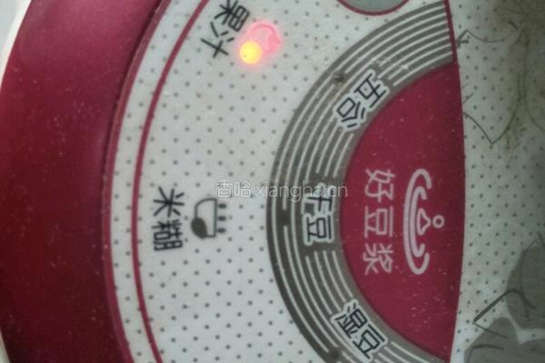 鲜榨毛桃汁的做法图解5