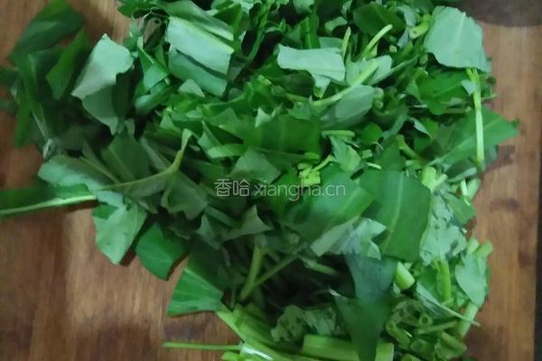凉拌空心菜的做法图解1