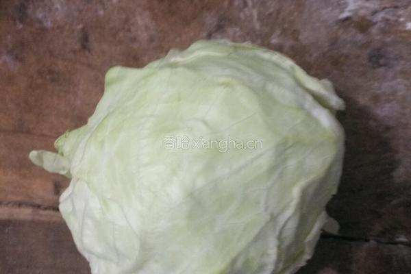 清炒白菜的做法图解1