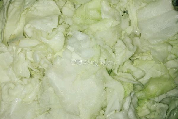 清炒白菜的做法图解4