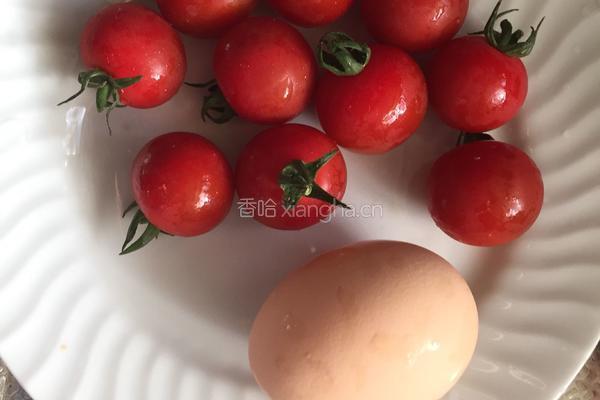 圣女果太阳花的做法图解3